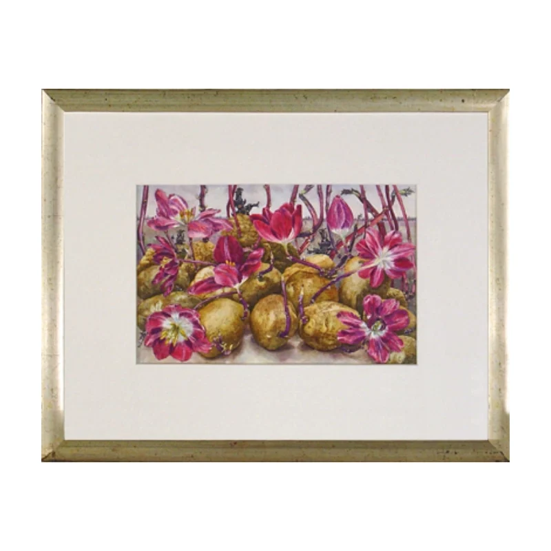 Aardappel, Kanjertulpen