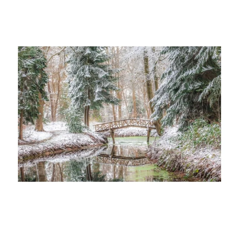 Brug Slochterbos winter