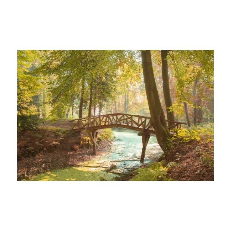 Brug Slochterbos - Voorja