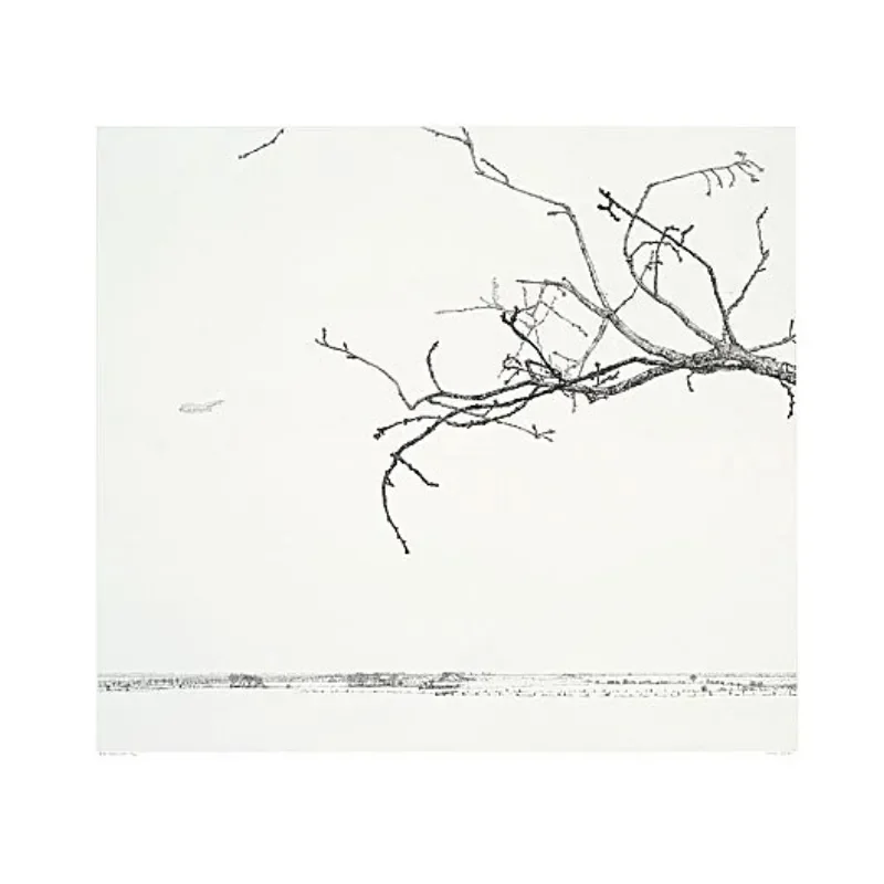 Winterland (Gaasterland F